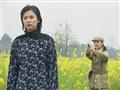 梅花档案剧情介绍
