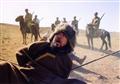我的鄂尔多斯剧情介绍