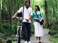 星愿剧情介绍