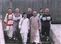 黄飞鸿与十三姨剧情介绍
